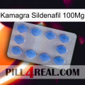 Kamagra Sildenafil 100Mg 21